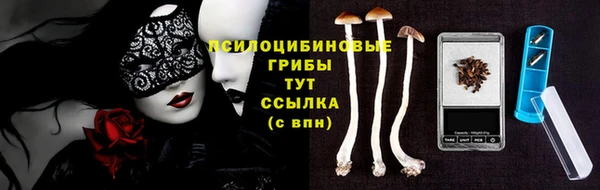 ГАЛЛЮЦИНОГЕННЫЕ ГРИБЫ Елизово